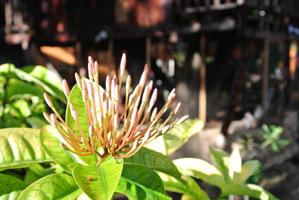 Koox City Garden Hotel Playa del Carmen Exterior foto